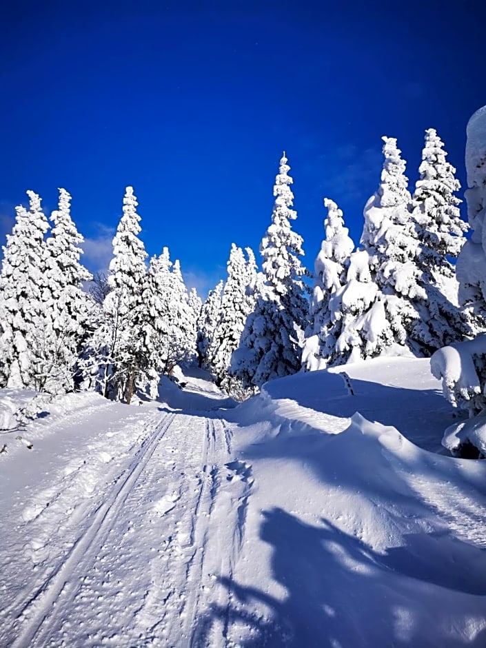 Chalet Kanja Velika Planina