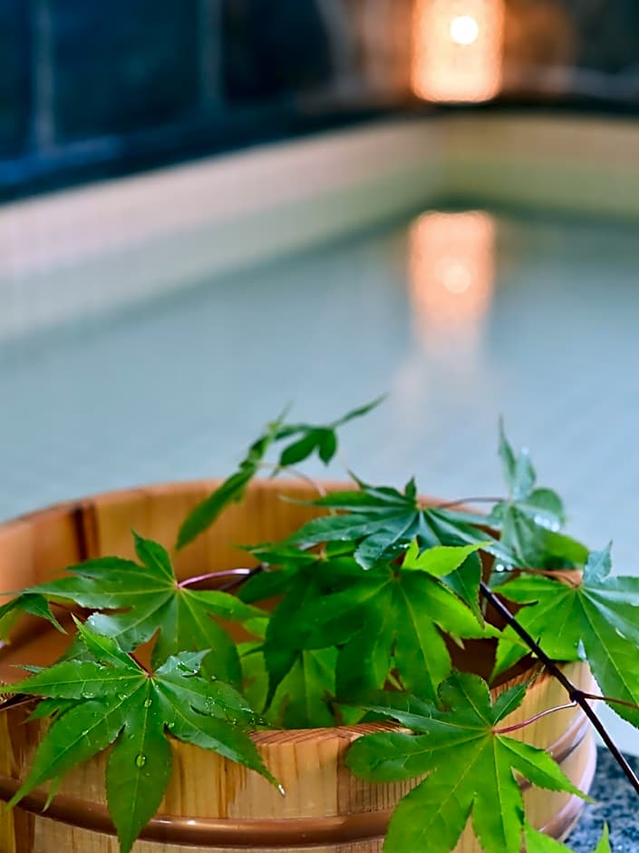 Takenoya Ryokan Guest House Takenoya