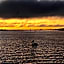 Goolwa Retreat