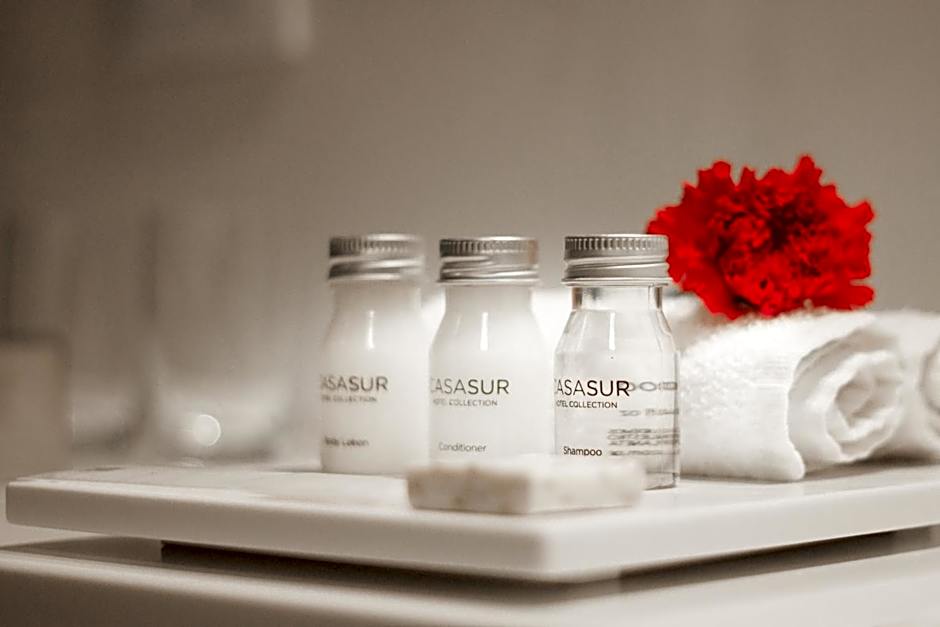 CasaSur Palermo Hotel