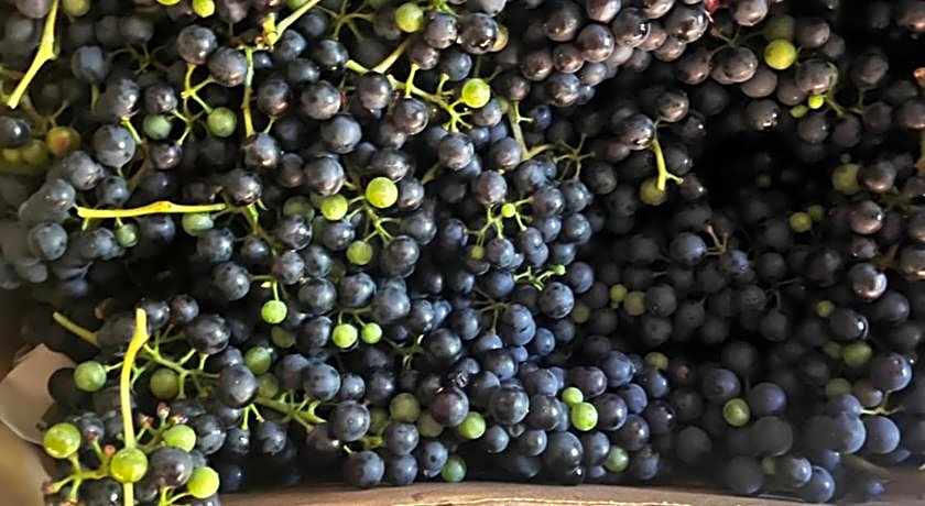 Art House Domaine de l'Ocrerie