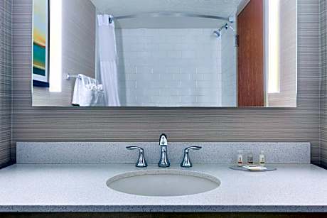 1 King Bed Non-Smoking