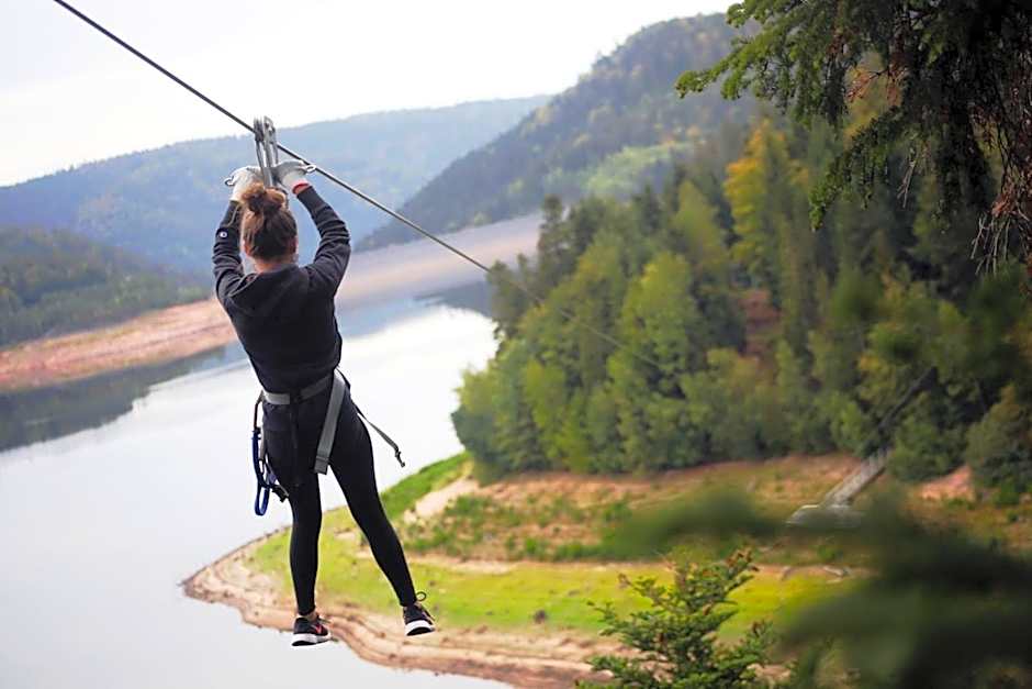 Logis Hotel des Lacs