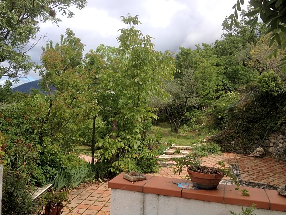 Fattoria La Tana della Volpe