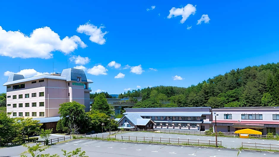 Shinappi Onsen Seiryukaku