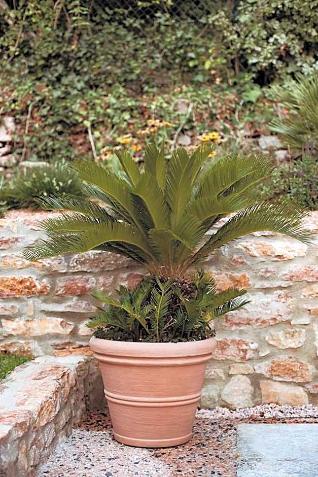 FAVAI HILLS your secret hideaway