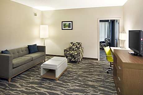 1 King Bed 2 Bedroom Suite Sofa Bed