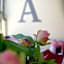 Hotel Adler am Schloss