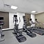 Hilton Garden Inn Houston Hobby Airport