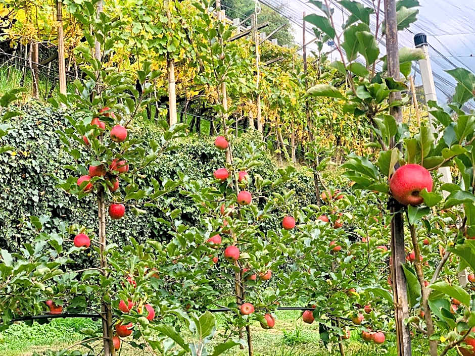 Tannerhof Bed & Breakfast