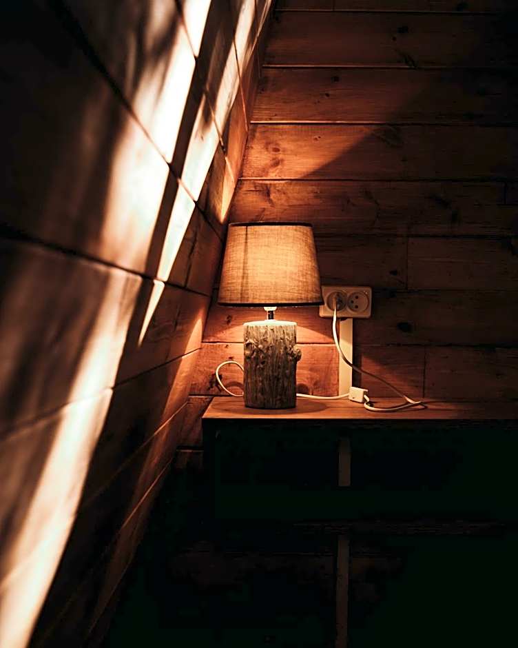 Eco Village In The Forest