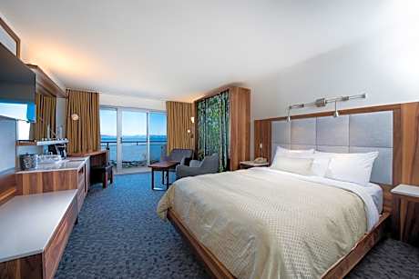 Superior Room 1 Queen bed and 1 Murphy bed Balcony and River View