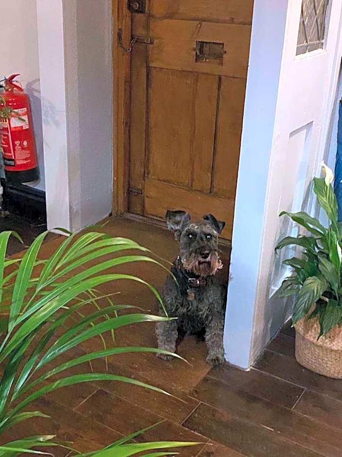 The Queen Matilda Country Rooms