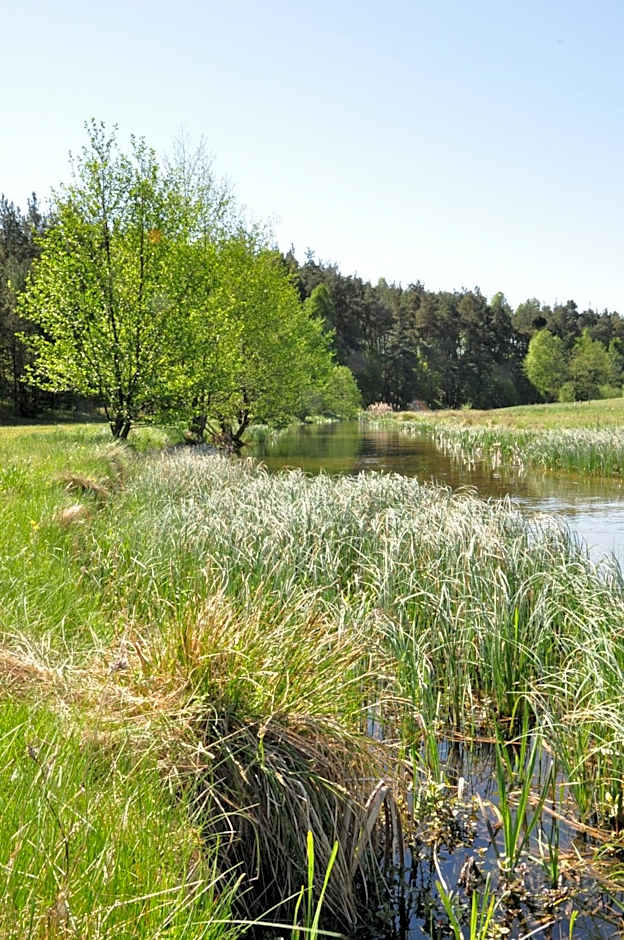 Osada Grzybowski Młyn