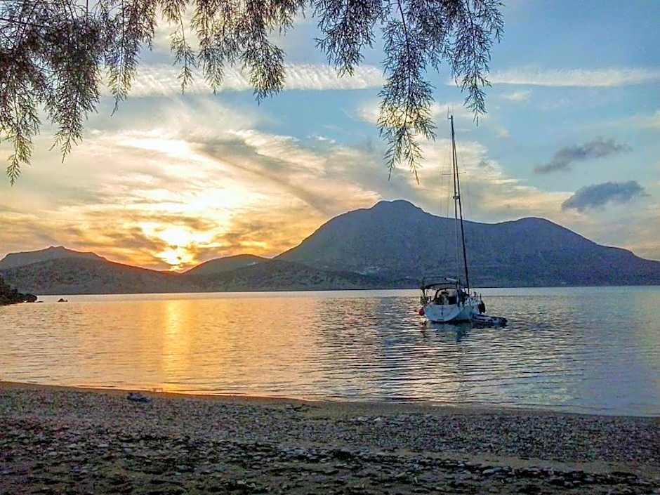 Costareli