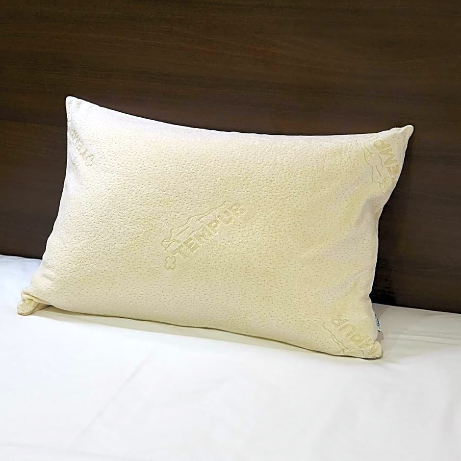 Sotetsu Fresa Inn Yodoyabashi