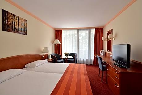 Superior Double Room with Wellness and Fitness Access