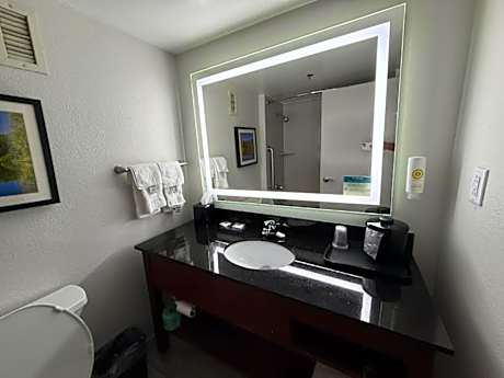 King Room - Non-Smoking
