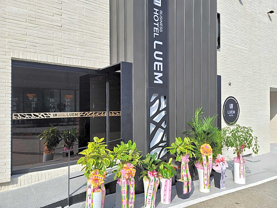 Eumseong Hotel Luem
