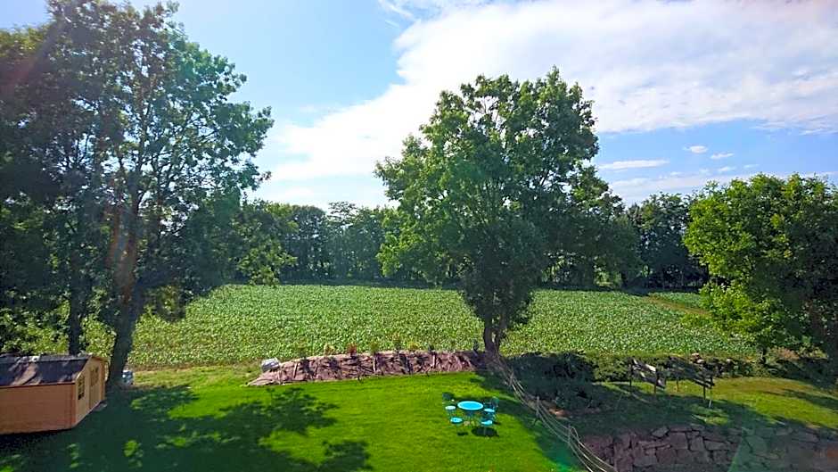 Le Moulin d'Oscar & Spa - Mulhouse Nord