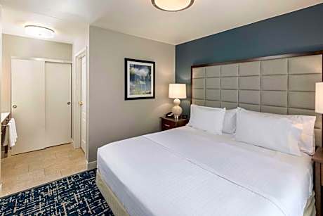 One-Bedroom King Suite - Non-Smoking
