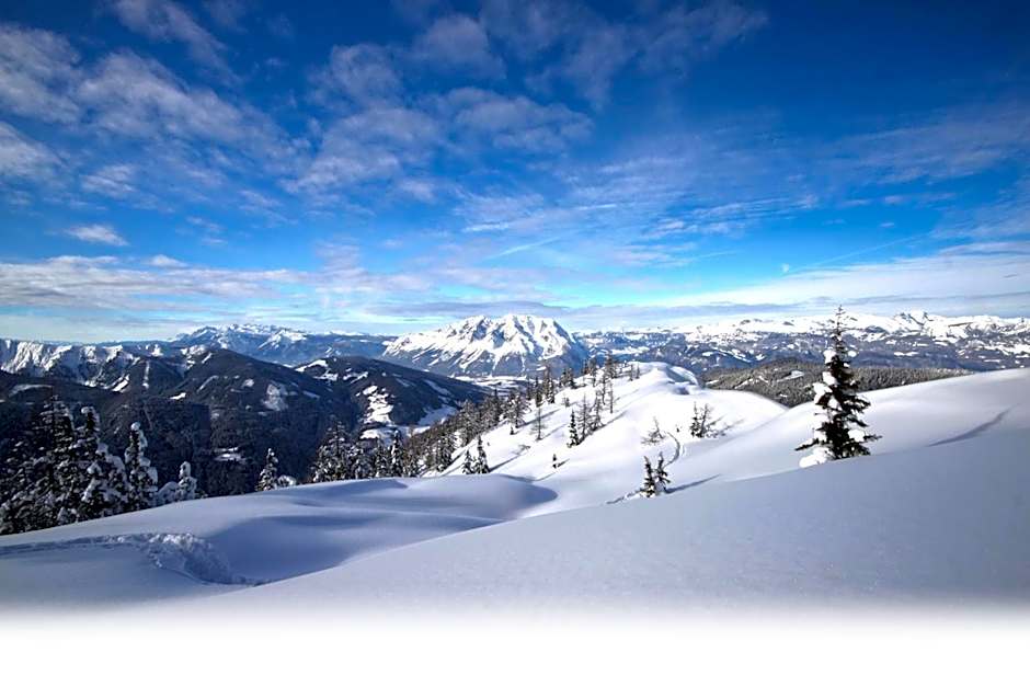 Alpengasthof Grimmingblick