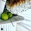 Gravity Eco Boutique Hotel - Adults Only