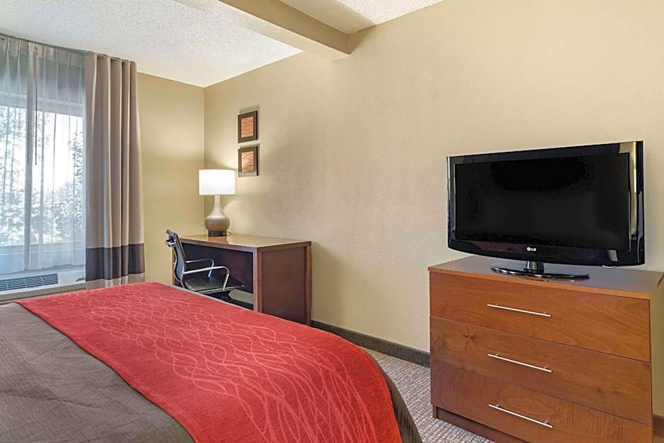 Comfort Inn & Suites Suwanee - Sugarloaf
