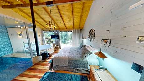 Cisne Negro Villarejo