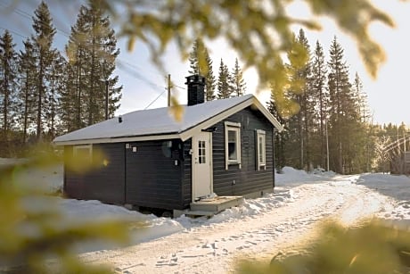 Koselig Hytte i Hemsedal