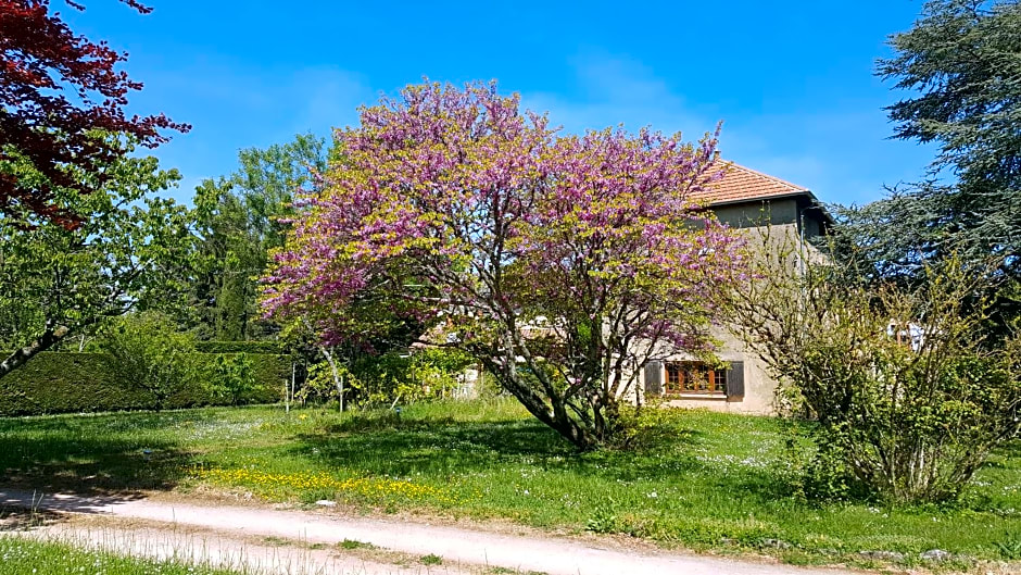 B&B Des Histoires d'Anges - Côté Jardin - Accueil Vélo