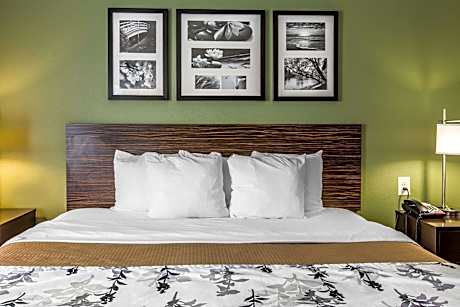 King Suite - Accessible/Non-Smoking