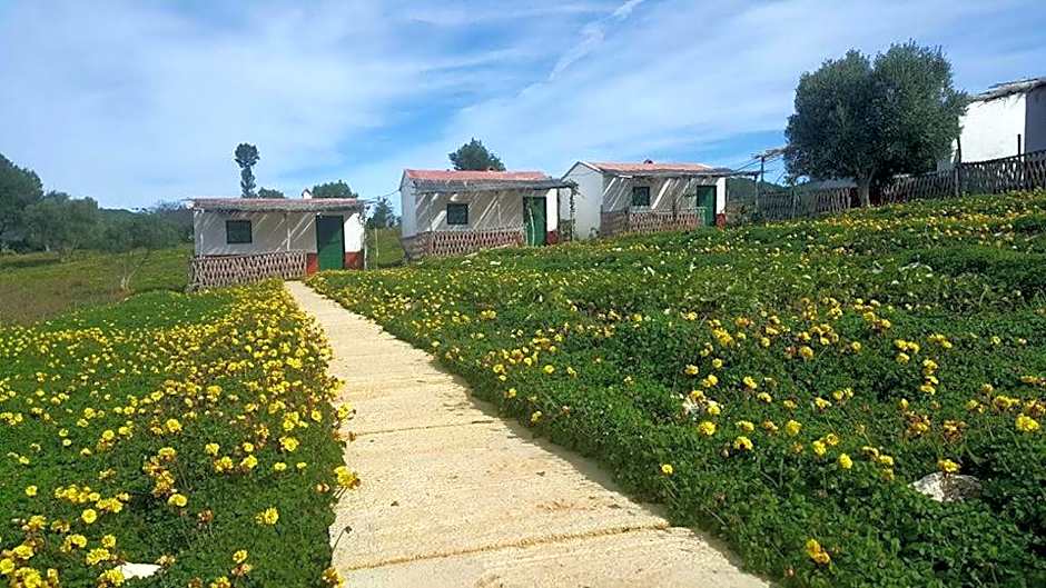 Ferma Jebala Ecolodge