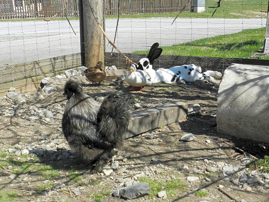 Freinerhof & Wellness