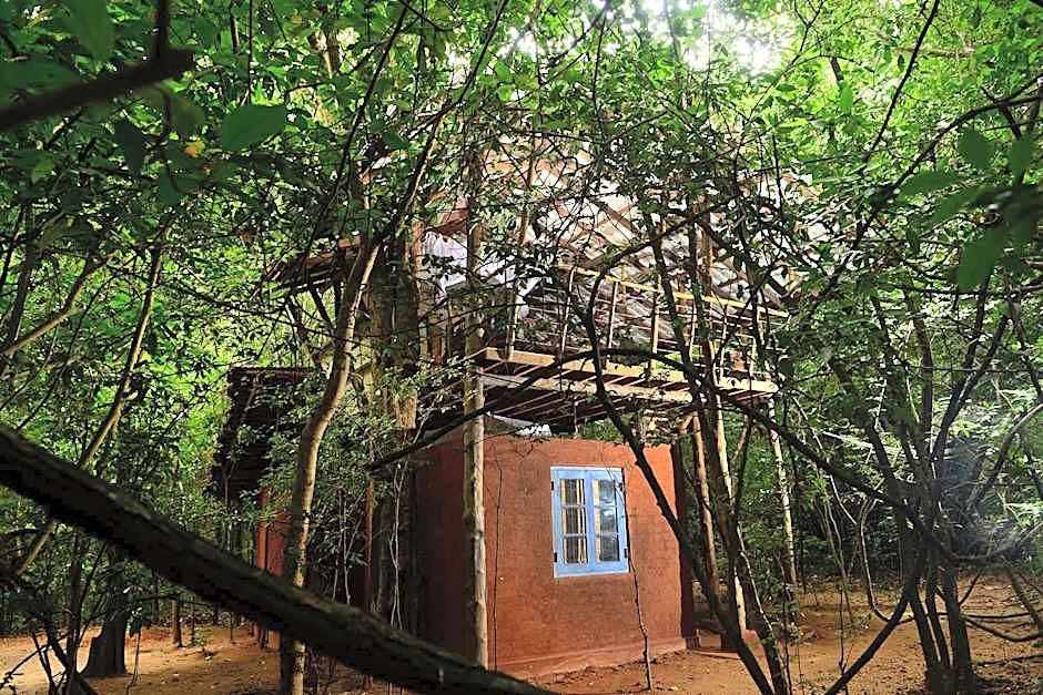 Back of Beyond Pidurangala