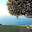 The Milkwood Beach Apartments