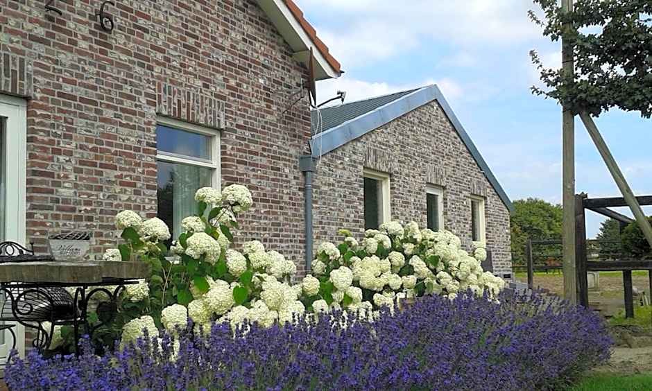 B & B " De 7 Sprong "