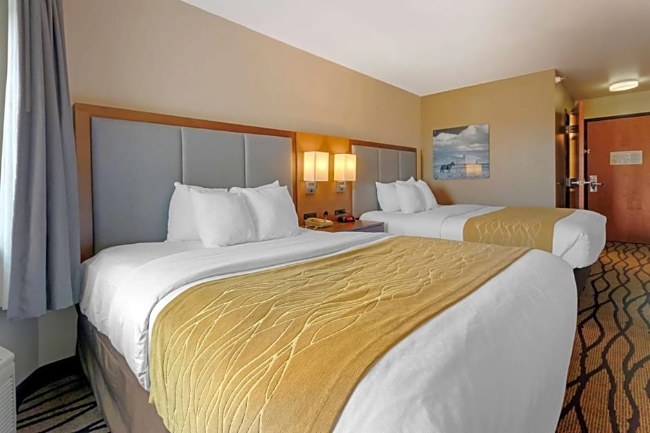 Comfort Inn & Suites Market - Airport