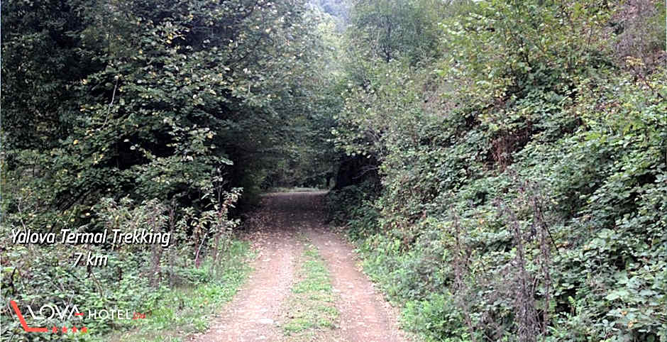 Yalova Lova Hotel & SPA Yalova