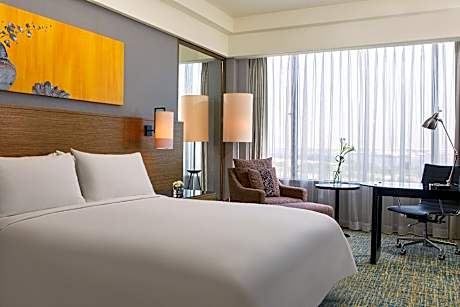 Guest room, King or Twin