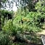 Chambres du Jardin Fleuri