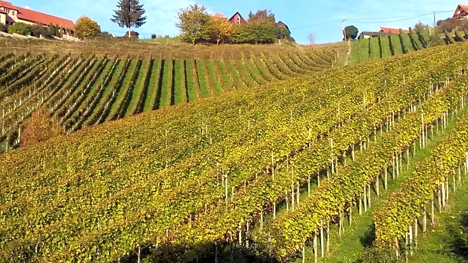 Weingut Stoff