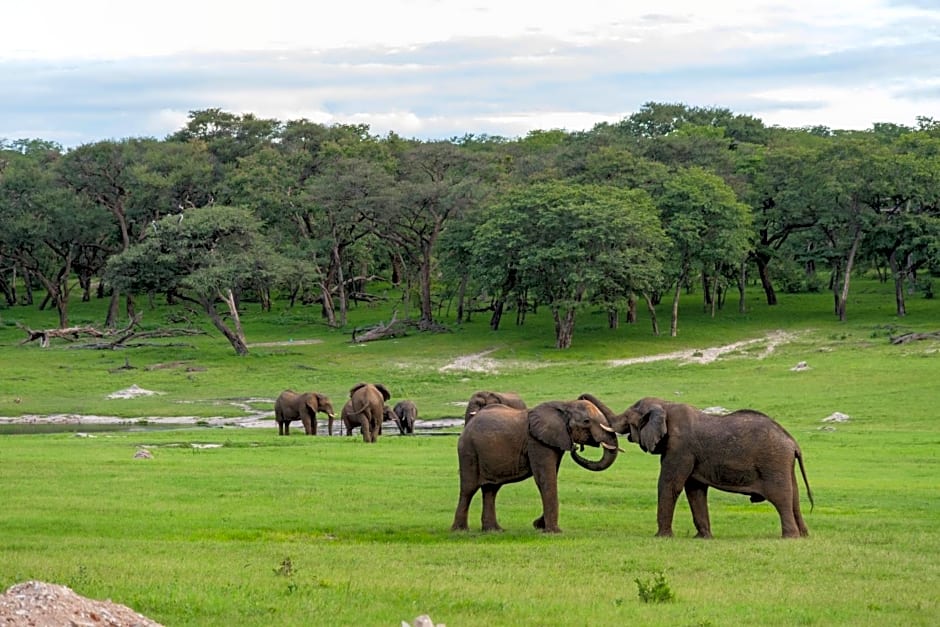 Hwange Safari Lodge