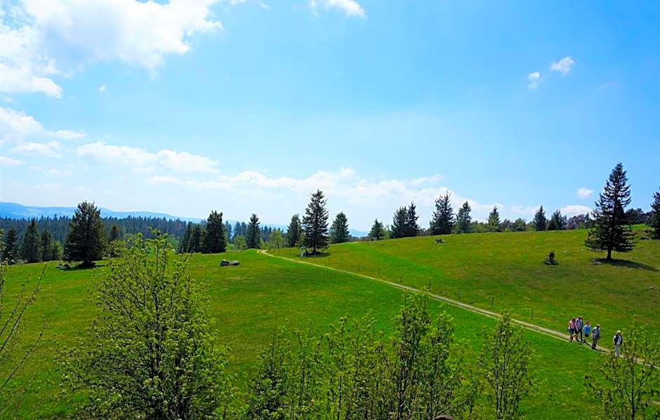 Kurparkhotel Faißt