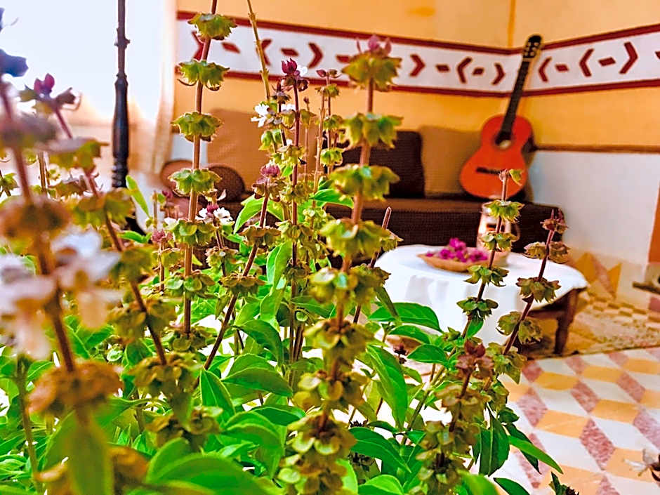 Hôtel panoramique de la vallée