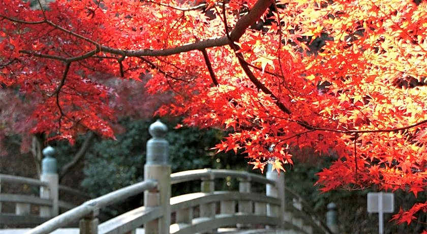 Hotel Trend Okazaki Ekimae