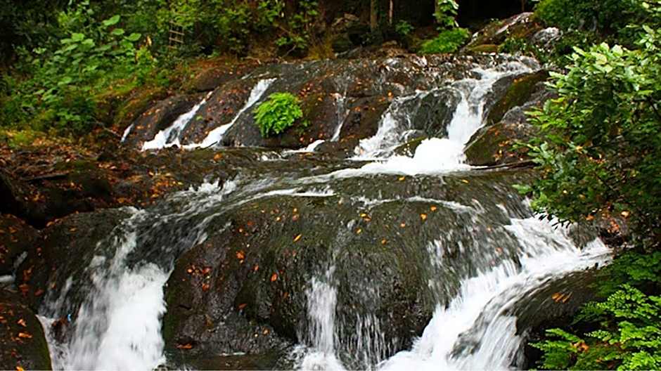 Selale Cennet Evleri