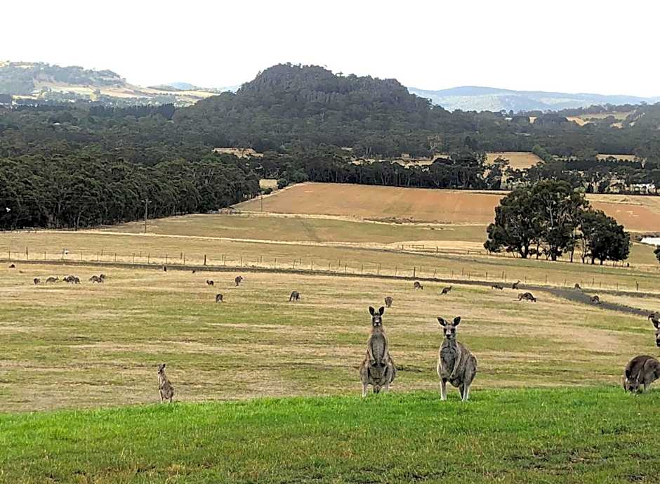 Hanging Rock Views