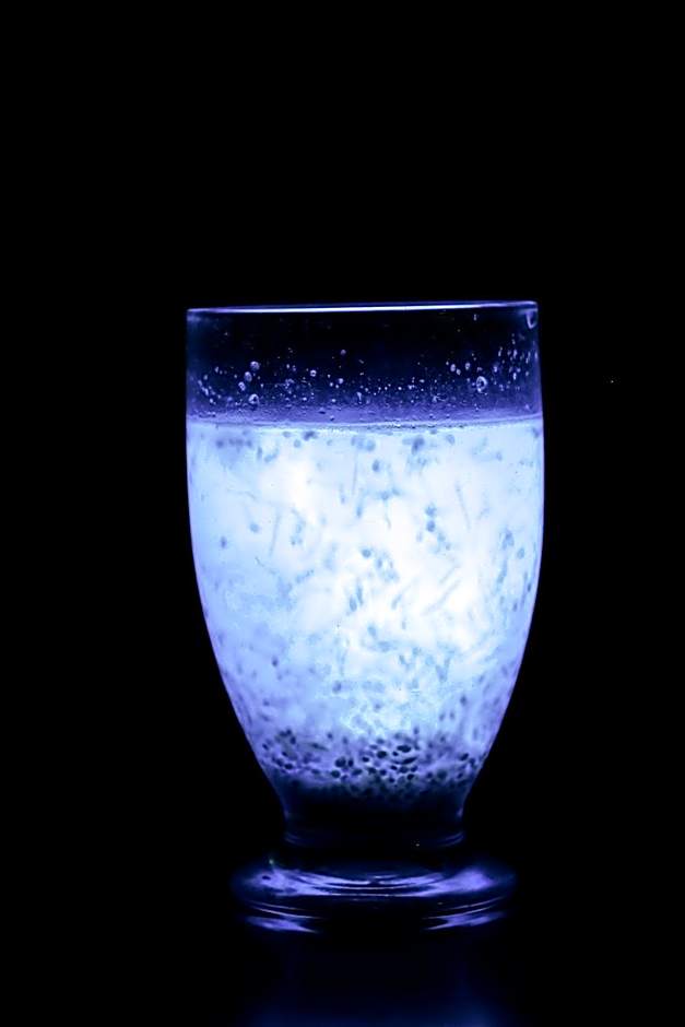 Kyukamura Ohkunoshima