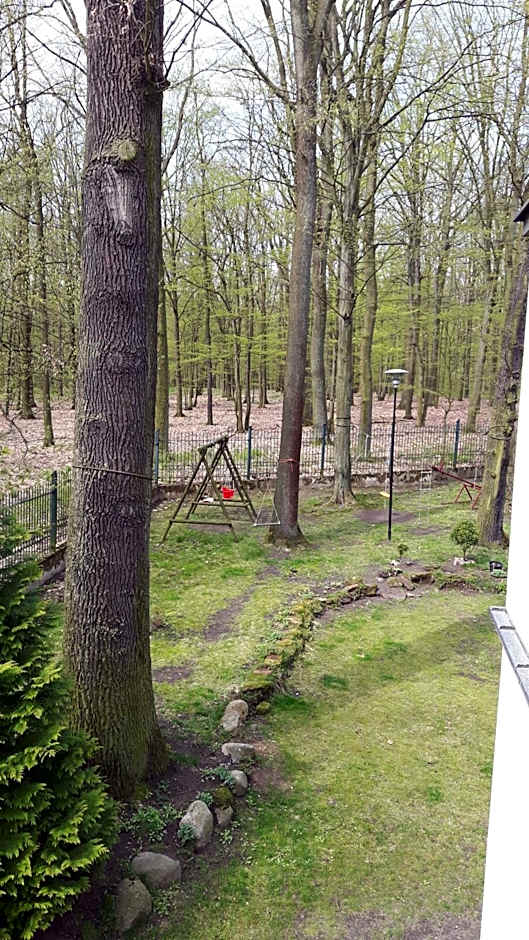 Hotel Daria Dworek Myśliwski